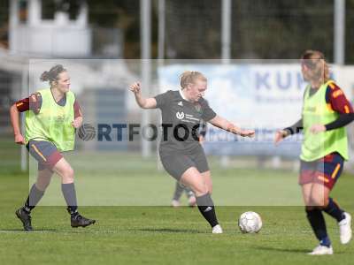 Bild-ID: 2442826