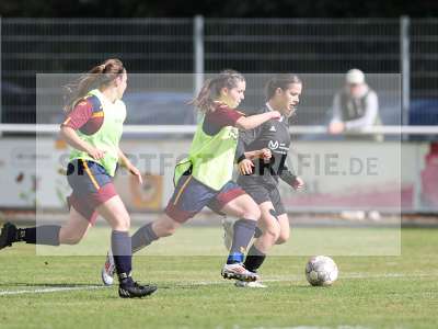 Bild-ID: 2442843