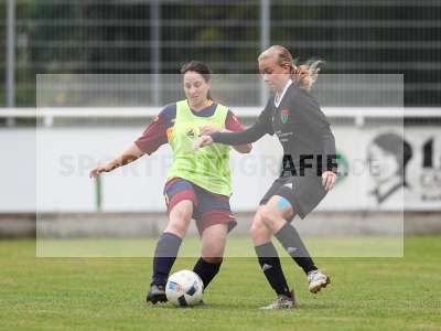 Bild-ID: 2442854
