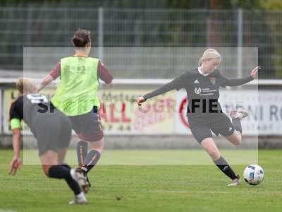 Bild-ID: 2442861