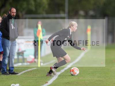 Bild-ID: 2442864