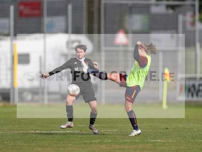 Bild-ID: 2442880