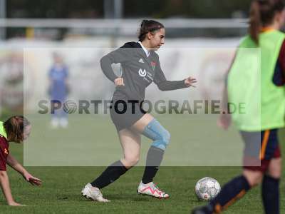 Bild-ID: 2442885