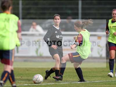 Bild-ID: 2442927