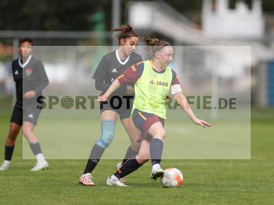 Bild-ID: 2442935