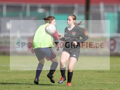 Bild-ID: 2442946