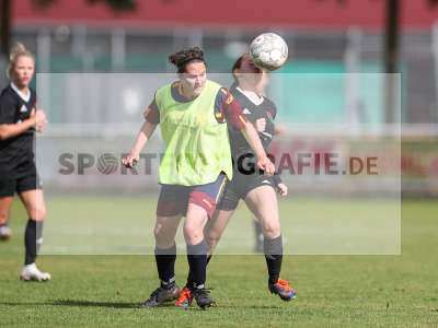 Bild-ID: 2442947