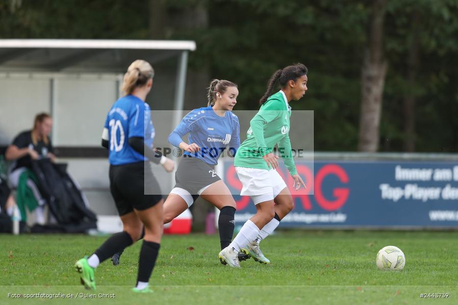 Sportgelände, Adelsberg, 05.10.2024, sport, action, Fussball, BOL Frauen, 5. Spieltag, FCS, FFC, 1. FC Schweinfurt, FFC Adelsberg-Karsbach - Bild-ID: 2443739
