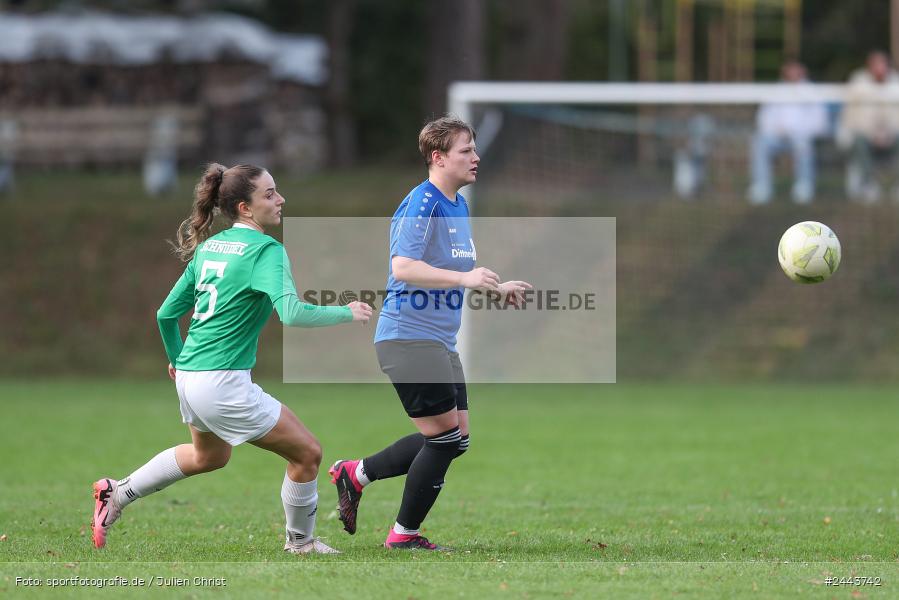 Sportgelände, Adelsberg, 05.10.2024, sport, action, Fussball, BOL Frauen, 5. Spieltag, FCS, FFC, 1. FC Schweinfurt, FFC Adelsberg-Karsbach - Bild-ID: 2443742