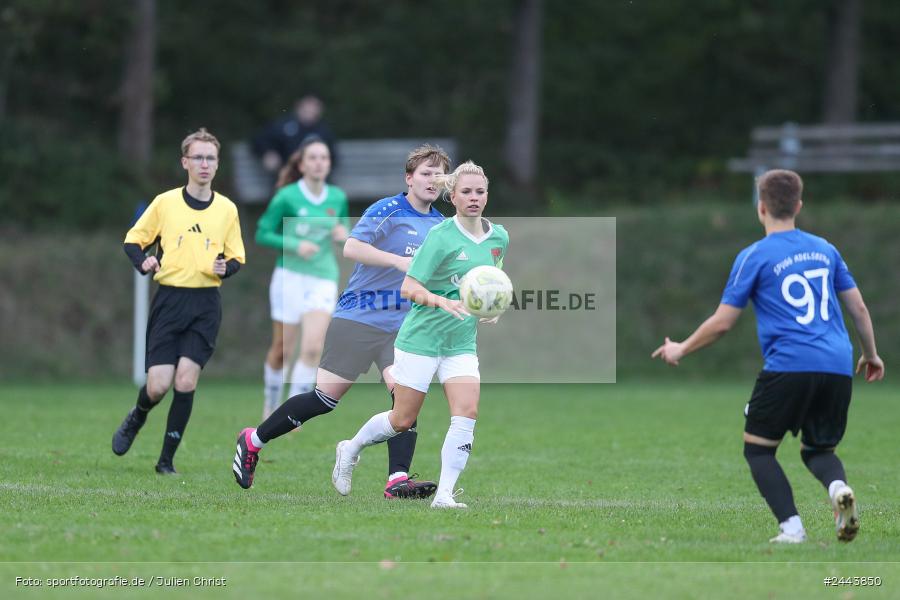 Sportgelände, Adelsberg, 05.10.2024, sport, action, Fussball, BOL Frauen, 5. Spieltag, FCS, FFC, 1. FC Schweinfurt, FFC Adelsberg-Karsbach - Bild-ID: 2443850