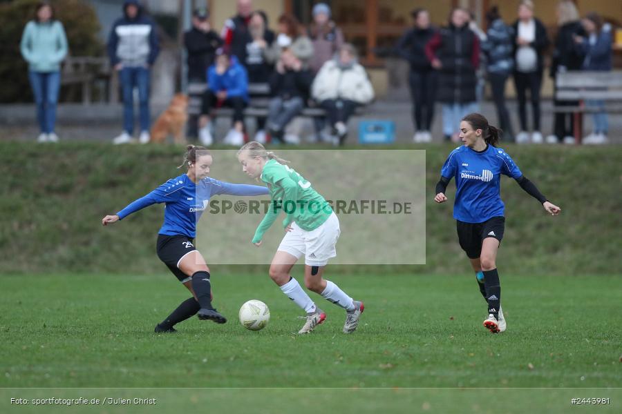 Sportgelände, Adelsberg, 05.10.2024, sport, action, Fussball, BOL Frauen, 5. Spieltag, FCS, FFC, 1. FC Schweinfurt, FFC Adelsberg-Karsbach - Bild-ID: 2443981