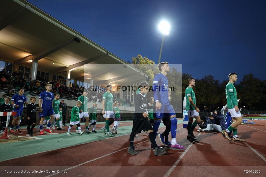 Willy-Sachs-Stadion, Schweinfurt, 11.10.2024, sport, action, Fussball, BFV, 14. Spieltag, Regionalliga Bayern, SVA, FCS, SV Viktoria Aschaffenburg, 1. FC Schweinfurt 1905 - Bild-ID: 2445205