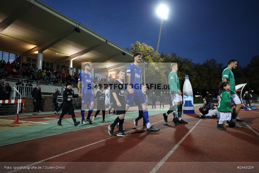 Willy-Sachs-Stadion, Schweinfurt, 11.10.2024, sport, action, Fussball, BFV, 14. Spieltag, Regionalliga Bayern, SVA, FCS, SV Viktoria Aschaffenburg, 1. FC Schweinfurt 1905 - Bild-ID: 2445209