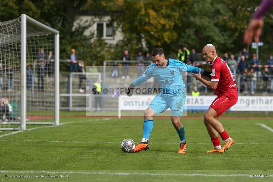 Fuchsparkstadion, Bamberg, 12.10.2024, sport, action, Fussball, BFV, 14. Spieltag, Regionalliga Bayern, FWK, FCE, FC Würzburger Kickers, FC Eintracht Bamberg - Bild-ID: 2445437
