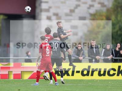 Bild-ID: 2445871