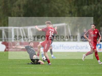 Bild-ID: 2445904