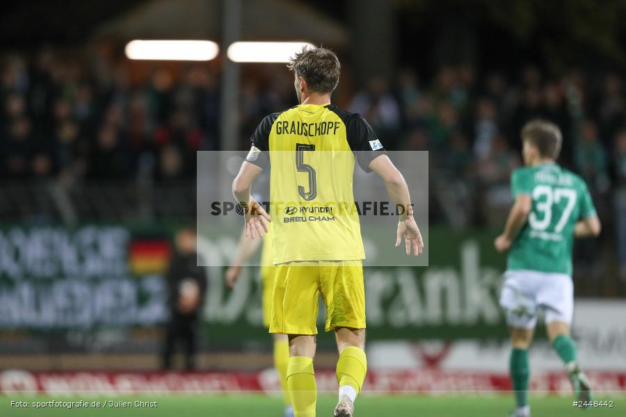 Sachs-Stadion, Schweinfurt, 22.10.2024, sport, action, Fussball, BFV, 16. Spieltag, Regionalliga Bayern, DJK, FCS, DJK Vilzing, 1. FC Schweinfurt 1905 - Bild-ID: 2448442