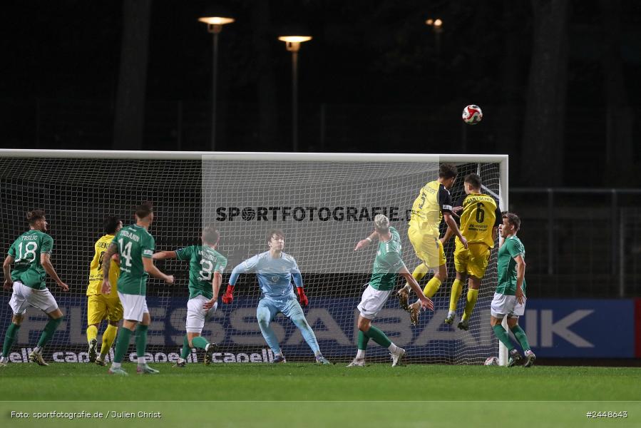 Sachs-Stadion, Schweinfurt, 22.10.2024, sport, action, Fussball, BFV, 16. Spieltag, Regionalliga Bayern, DJK, FCS, DJK Vilzing, 1. FC Schweinfurt 1905 - Bild-ID: 2448643