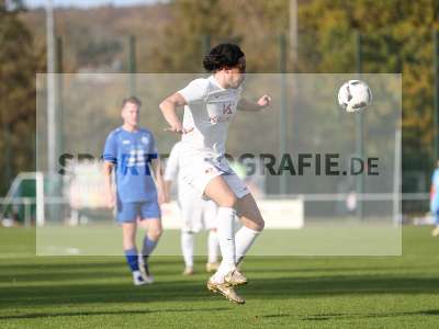 Bild-ID: 2451186