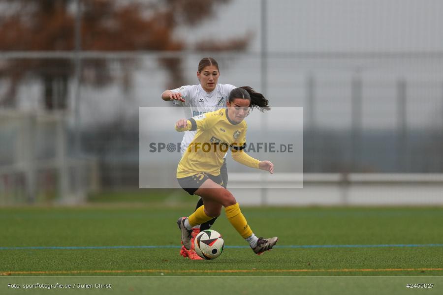 sport, action, Sportanlage Buchschwabacher Strasse 32, SV67, SV 67 Weinberg, SCS, SC Sand, Roßtal, Fussball, DFB, 2. Frauen-Bundesliga, 17.11.2024, 11. Spieltag - Bild-ID: 2455027