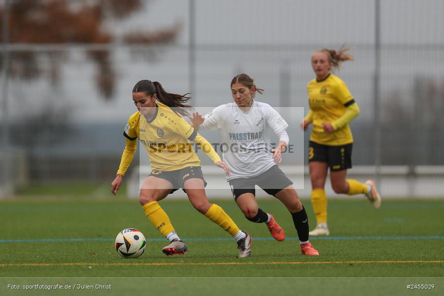 sport, action, Sportanlage Buchschwabacher Strasse 32, SV67, SV 67 Weinberg, SCS, SC Sand, Roßtal, Fussball, DFB, 2. Frauen-Bundesliga, 17.11.2024, 11. Spieltag - Bild-ID: 2455029