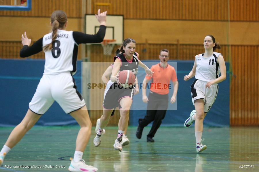 Heuchelhof-Halle, Würzburg, 01.12.2024, sport, action, Bayernliga Nord, Basketball, SVE, TGW, SV Erlenbach Black Bees, TG 48 Würzburg 3 - Bild-ID: 2457191