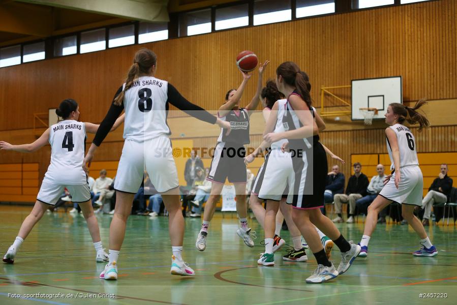 Heuchelhof-Halle, Würzburg, 01.12.2024, sport, action, Bayernliga Nord, Basketball, SVE, TGW, SV Erlenbach Black Bees, TG 48 Würzburg 3 - Bild-ID: 2457220 Heuchelhof-Halle, Würzburg, 01.12.2024, sport, action, Bayernliga Nord, Basketball, SVE, TGW, SV Erlenbach Black Bees, TG 48 Würzburg 3 - Bild-ID: 2457220