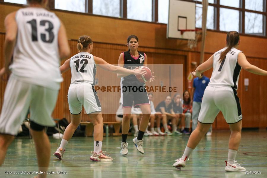 sport, action, Würzburg, TGW, TG 48 Würzburg 3, SVE, SV Erlenbach Black Bees, Heuchelhof-Halle, Bayernliga Nord, Basketball, 01.12.2024 - Bild-ID: 2457282 sport, action, Würzburg, TGW, TG 48 Würzburg 3, SVE, SV Erlenbach Black Bees, Heuchelhof-Halle, Bayernliga Nord, Basketball, 01.12.2024 - Bild-ID: 2457282