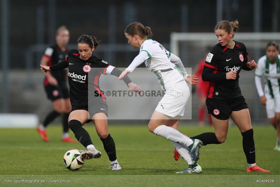 Stadion am Brentanobad, Frankfurt, 15.12.2024, sport, action, Fussball, DFB, 2. Frauen-Bundesliga, BMG, SGE, Borussia Mönchengladbach, Eintracht Frankfurt II - Bild-ID: 2459228
