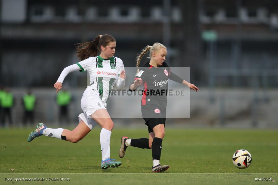 Stadion am Brentanobad, Frankfurt, 15.12.2024, sport, action, Fussball, DFB, 2. Frauen-Bundesliga, BMG, SGE, Borussia Mönchengladbach, Eintracht Frankfurt II - Bild-ID: 2459238 Stadion am Brentanobad, Frankfurt, 15.12.2024, sport, action, Fussball, DFB, 2. Frauen-Bundesliga, BMG, SGE, Borussia Mönchengladbach, Eintracht Frankfurt II - Bild-ID: 2459238