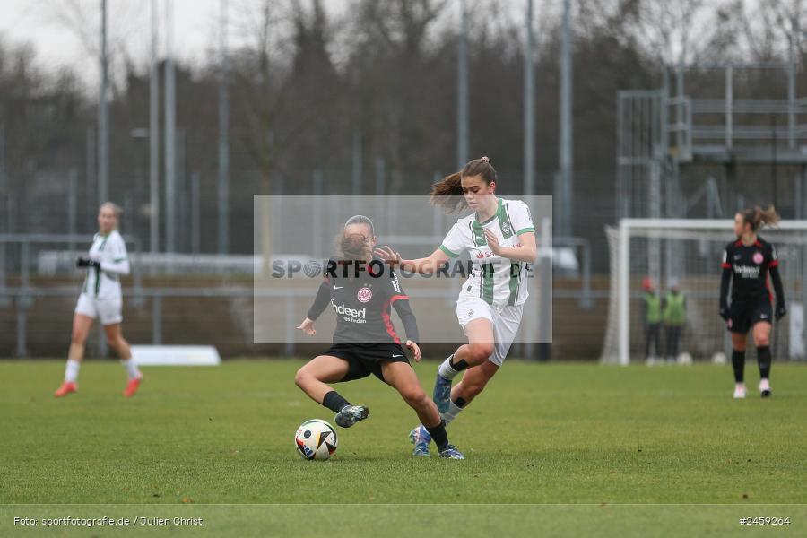 sport, action, Stadion am Brentanobad, SGE, Fussball, Frankfurt, Eintracht Frankfurt II, DFB, Borussia Mönchengladbach, BMG, 2. Frauen-Bundesliga, 15.12.2024 - Bild-ID: 2459264 sport, action, Stadion am Brentanobad, SGE, Fussball, Frankfurt, Eintracht Frankfurt II, DFB, Borussia Mönchengladbach, BMG, 2. Frauen-Bundesliga, 15.12.2024 - Bild-ID: 2459264