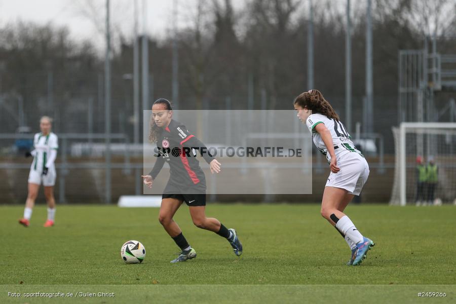 sport, action, Stadion am Brentanobad, SGE, Fussball, Frankfurt, Eintracht Frankfurt II, DFB, Borussia Mönchengladbach, BMG, 2. Frauen-Bundesliga, 15.12.2024 - Bild-ID: 2459266 sport, action, Stadion am Brentanobad, SGE, Fussball, Frankfurt, Eintracht Frankfurt II, DFB, Borussia Mönchengladbach, BMG, 2. Frauen-Bundesliga, 15.12.2024 - Bild-ID: 2459266
