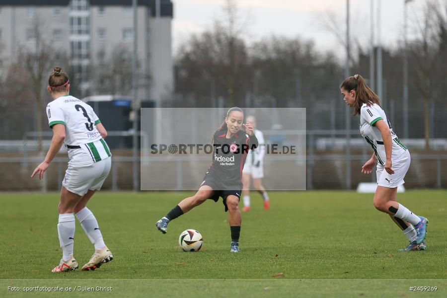 sport, action, Stadion am Brentanobad, SGE, Fussball, Frankfurt, Eintracht Frankfurt II, DFB, Borussia Mönchengladbach, BMG, 2. Frauen-Bundesliga, 15.12.2024 - Bild-ID: 2459269 sport, action, Stadion am Brentanobad, SGE, Fussball, Frankfurt, Eintracht Frankfurt II, DFB, Borussia Mönchengladbach, BMG, 2. Frauen-Bundesliga, 15.12.2024 - Bild-ID: 2459269