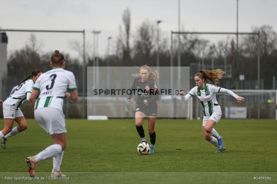 sport, action, Stadion am Brentanobad, SGE, Fussball, Frankfurt, Eintracht Frankfurt II, DFB, Borussia Mönchengladbach, BMG, 2. Frauen-Bundesliga, 15.12.2024 - Bild-ID: 2459286 sport, action, Stadion am Brentanobad, SGE, Fussball, Frankfurt, Eintracht Frankfurt II, DFB, Borussia Mönchengladbach, BMG, 2. Frauen-Bundesliga, 15.12.2024 - Bild-ID: 2459286