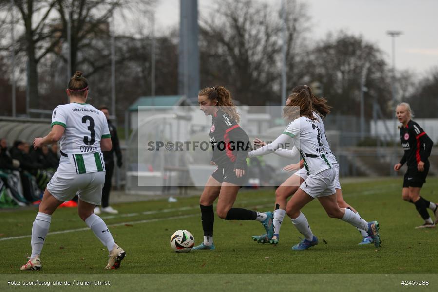 sport, action, Stadion am Brentanobad, SGE, Fussball, Frankfurt, Eintracht Frankfurt II, DFB, Borussia Mönchengladbach, BMG, 2. Frauen-Bundesliga, 15.12.2024 - Bild-ID: 2459288 sport, action, Stadion am Brentanobad, SGE, Fussball, Frankfurt, Eintracht Frankfurt II, DFB, Borussia Mönchengladbach, BMG, 2. Frauen-Bundesliga, 15.12.2024 - Bild-ID: 2459288