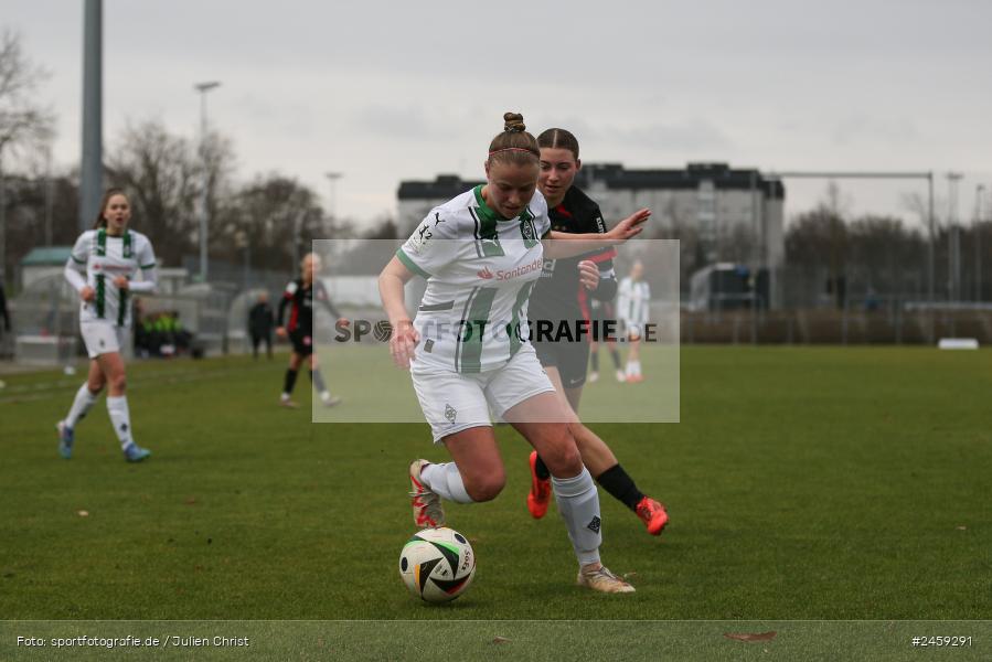 sport, action, Stadion am Brentanobad, SGE, Fussball, Frankfurt, Eintracht Frankfurt II, DFB, Borussia Mönchengladbach, BMG, 2. Frauen-Bundesliga, 15.12.2024 - Bild-ID: 2459291 sport, action, Stadion am Brentanobad, SGE, Fussball, Frankfurt, Eintracht Frankfurt II, DFB, Borussia Mönchengladbach, BMG, 2. Frauen-Bundesliga, 15.12.2024 - Bild-ID: 2459291