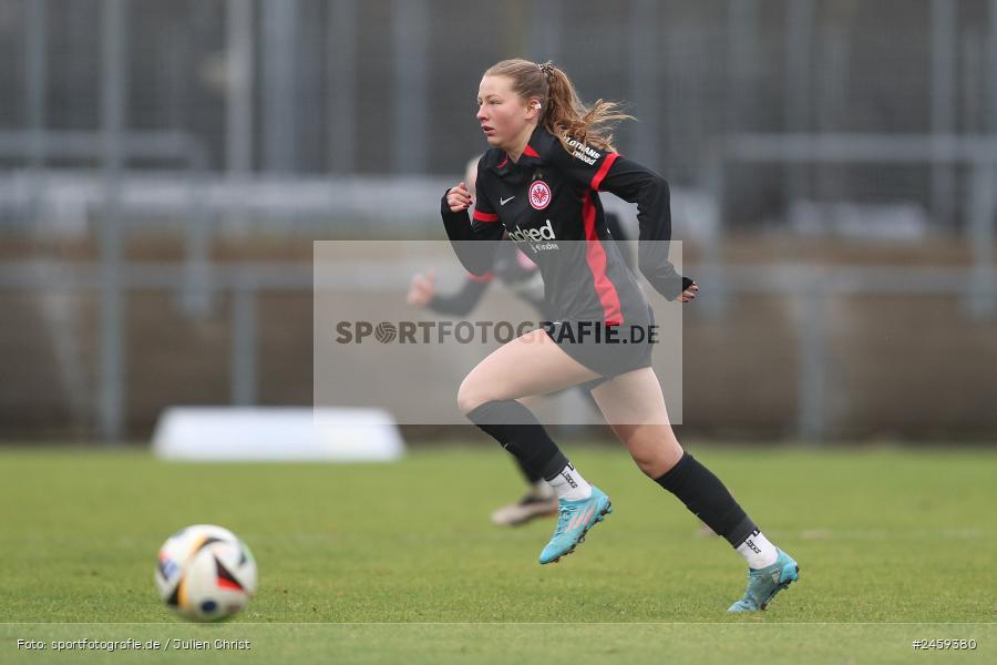sport, action, Stadion am Brentanobad, SGE, Fussball, Frankfurt, Eintracht Frankfurt II, DFB, Borussia Mönchengladbach, BMG, 2. Frauen-Bundesliga, 15.12.2024 - Bild-ID: 2459380 sport, action, Stadion am Brentanobad, SGE, Fussball, Frankfurt, Eintracht Frankfurt II, DFB, Borussia Mönchengladbach, BMG, 2. Frauen-Bundesliga, 15.12.2024 - Bild-ID: 2459380