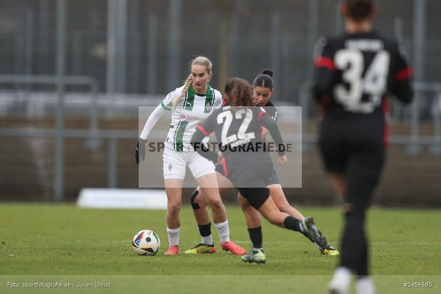 sport, action, Stadion am Brentanobad, SGE, Fussball, Frankfurt, Eintracht Frankfurt II, DFB, Borussia Mönchengladbach, BMG, 2. Frauen-Bundesliga, 15.12.2024 - Bild-ID: 2459385 sport, action, Stadion am Brentanobad, SGE, Fussball, Frankfurt, Eintracht Frankfurt II, DFB, Borussia Mönchengladbach, BMG, 2. Frauen-Bundesliga, 15.12.2024 - Bild-ID: 2459385