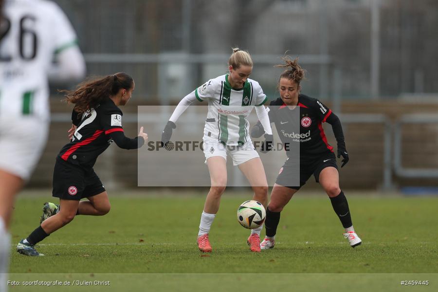 sport, action, Stadion am Brentanobad, SGE, Fussball, Frankfurt, Eintracht Frankfurt II, DFB, Borussia Mönchengladbach, BMG, 2. Frauen-Bundesliga, 15.12.2024 - Bild-ID: 2459445 sport, action, Stadion am Brentanobad, SGE, Fussball, Frankfurt, Eintracht Frankfurt II, DFB, Borussia Mönchengladbach, BMG, 2. Frauen-Bundesliga, 15.12.2024 - Bild-ID: 2459445