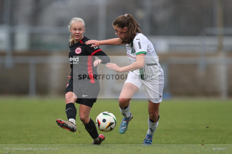 sport, action, Stadion am Brentanobad, SGE, Fussball, Frankfurt, Eintracht Frankfurt II, DFB, Borussia Mönchengladbach, BMG, 2. Frauen-Bundesliga, 15.12.2024 - Bild-ID: 2459477 sport, action, Stadion am Brentanobad, SGE, Fussball, Frankfurt, Eintracht Frankfurt II, DFB, Borussia Mönchengladbach, BMG, 2. Frauen-Bundesliga, 15.12.2024 - Bild-ID: 2459477