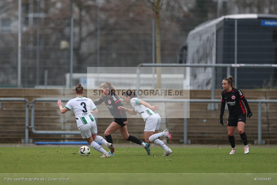 sport, action, Stadion am Brentanobad, SGE, Fussball, Frankfurt, Eintracht Frankfurt II, DFB, Borussia Mönchengladbach, BMG, 2. Frauen-Bundesliga, 15.12.2024 - Bild-ID: 2459481 sport, action, Stadion am Brentanobad, SGE, Fussball, Frankfurt, Eintracht Frankfurt II, DFB, Borussia Mönchengladbach, BMG, 2. Frauen-Bundesliga, 15.12.2024 - Bild-ID: 2459481