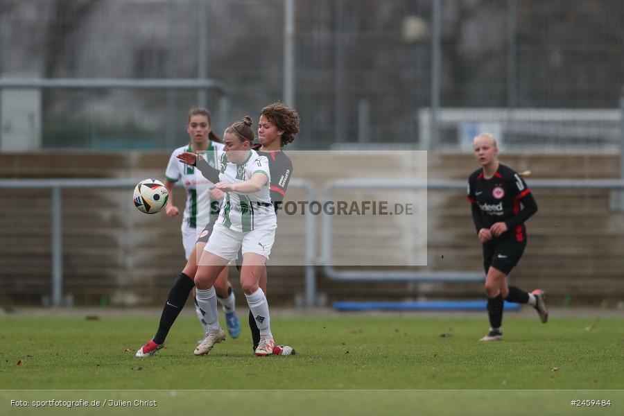 sport, action, Stadion am Brentanobad, SGE, Fussball, Frankfurt, Eintracht Frankfurt II, DFB, Borussia Mönchengladbach, BMG, 2. Frauen-Bundesliga, 15.12.2024 - Bild-ID: 2459484
