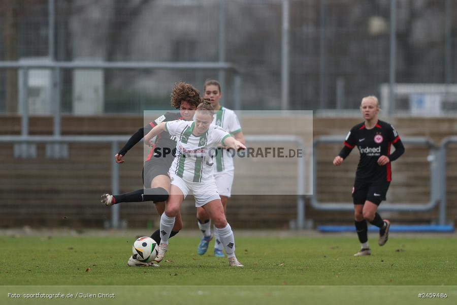 sport, action, Stadion am Brentanobad, SGE, Fussball, Frankfurt, Eintracht Frankfurt II, DFB, Borussia Mönchengladbach, BMG, 2. Frauen-Bundesliga, 15.12.2024 - Bild-ID: 2459486 sport, action, Stadion am Brentanobad, SGE, Fussball, Frankfurt, Eintracht Frankfurt II, DFB, Borussia Mönchengladbach, BMG, 2. Frauen-Bundesliga, 15.12.2024 - Bild-ID: 2459486