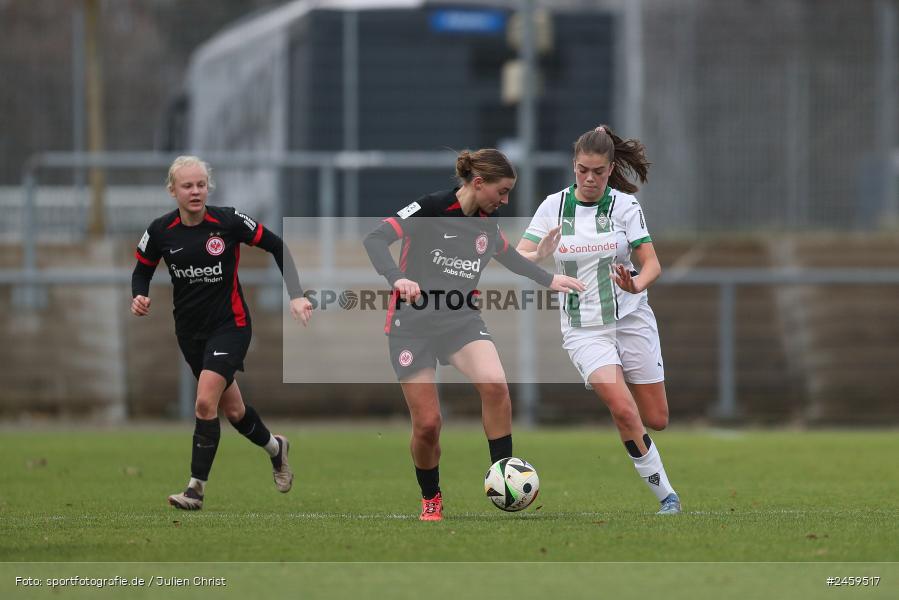 sport, action, Stadion am Brentanobad, SGE, Fussball, Frankfurt, Eintracht Frankfurt II, DFB, Borussia Mönchengladbach, BMG, 2. Frauen-Bundesliga, 15.12.2024 - Bild-ID: 2459517 sport, action, Stadion am Brentanobad, SGE, Fussball, Frankfurt, Eintracht Frankfurt II, DFB, Borussia Mönchengladbach, BMG, 2. Frauen-Bundesliga, 15.12.2024 - Bild-ID: 2459517