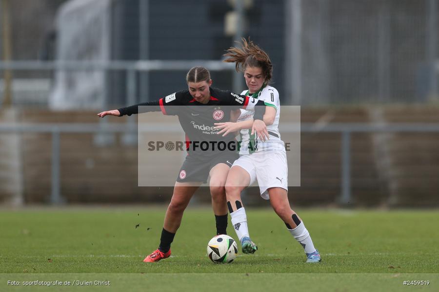 sport, action, Stadion am Brentanobad, SGE, Fussball, Frankfurt, Eintracht Frankfurt II, DFB, Borussia Mönchengladbach, BMG, 2. Frauen-Bundesliga, 15.12.2024 - Bild-ID: 2459519 sport, action, Stadion am Brentanobad, SGE, Fussball, Frankfurt, Eintracht Frankfurt II, DFB, Borussia Mönchengladbach, BMG, 2. Frauen-Bundesliga, 15.12.2024 - Bild-ID: 2459519