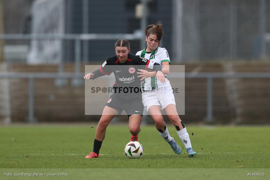 sport, action, Stadion am Brentanobad, SGE, Fussball, Frankfurt, Eintracht Frankfurt II, DFB, Borussia Mönchengladbach, BMG, 2. Frauen-Bundesliga, 15.12.2024 - Bild-ID: 2459520 sport, action, Stadion am Brentanobad, SGE, Fussball, Frankfurt, Eintracht Frankfurt II, DFB, Borussia Mönchengladbach, BMG, 2. Frauen-Bundesliga, 15.12.2024 - Bild-ID: 2459520