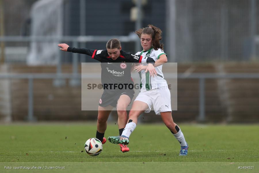sport, action, Stadion am Brentanobad, SGE, Fussball, Frankfurt, Eintracht Frankfurt II, DFB, Borussia Mönchengladbach, BMG, 2. Frauen-Bundesliga, 15.12.2024 - Bild-ID: 2459521 sport, action, Stadion am Brentanobad, SGE, Fussball, Frankfurt, Eintracht Frankfurt II, DFB, Borussia Mönchengladbach, BMG, 2. Frauen-Bundesliga, 15.12.2024 - Bild-ID: 2459521