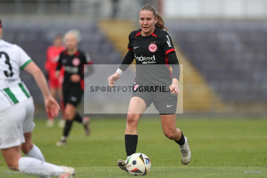 sport, action, Stadion am Brentanobad, SGE, Fussball, Frankfurt, Eintracht Frankfurt II, DFB, Borussia Mönchengladbach, BMG, 2. Frauen-Bundesliga, 15.12.2024 - Bild-ID: 2459538 sport, action, Stadion am Brentanobad, SGE, Fussball, Frankfurt, Eintracht Frankfurt II, DFB, Borussia Mönchengladbach, BMG, 2. Frauen-Bundesliga, 15.12.2024 - Bild-ID: 2459538