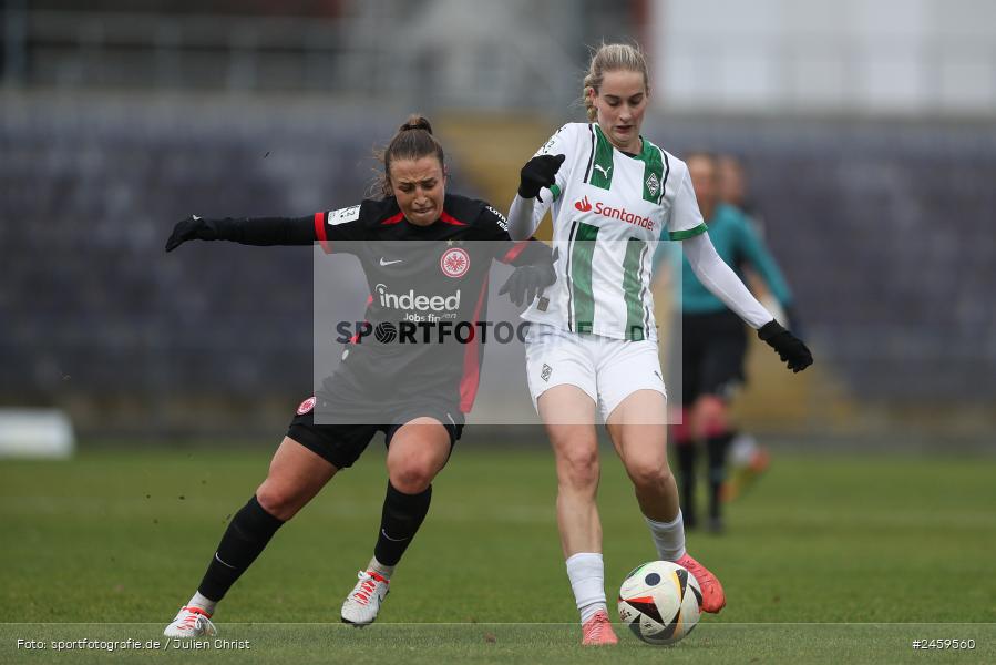 sport, action, Stadion am Brentanobad, SGE, Fussball, Frankfurt, Eintracht Frankfurt II, DFB, Borussia Mönchengladbach, BMG, 2. Frauen-Bundesliga, 15.12.2024 - Bild-ID: 2459560 sport, action, Stadion am Brentanobad, SGE, Fussball, Frankfurt, Eintracht Frankfurt II, DFB, Borussia Mönchengladbach, BMG, 2. Frauen-Bundesliga, 15.12.2024 - Bild-ID: 2459560