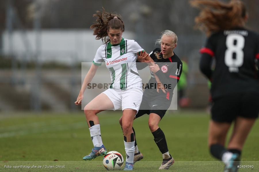 sport, action, Stadion am Brentanobad, SGE, Fussball, Frankfurt, Eintracht Frankfurt II, DFB, Borussia Mönchengladbach, BMG, 2. Frauen-Bundesliga, 15.12.2024 - Bild-ID: 2459590 sport, action, Stadion am Brentanobad, SGE, Fussball, Frankfurt, Eintracht Frankfurt II, DFB, Borussia Mönchengladbach, BMG, 2. Frauen-Bundesliga, 15.12.2024 - Bild-ID: 2459590